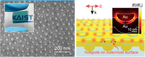 莲叶 的图像结果