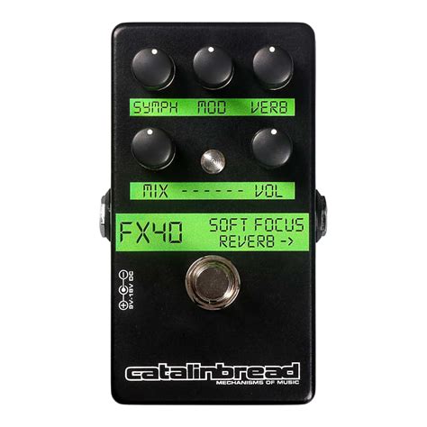 Image result for Catalinbread Spring Reverb