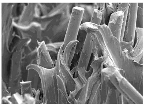 Mechanical Performance of Recycled Reinforced Polyamide from Rejected ...
