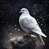 Image result for String Length Algorithm Step by Step