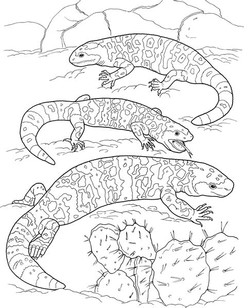 Free Lizard Coloring Pages