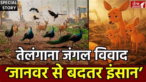 हम नहीं सुधरेंगे... तेलंगाना में 400 एकड़ में फैले जंगल को काटने पर बवाल