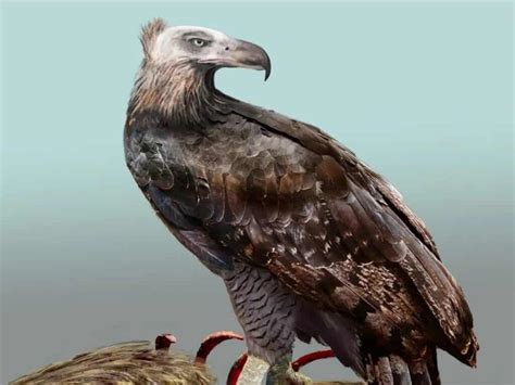 Image result for Most Interesting Extinct Animals