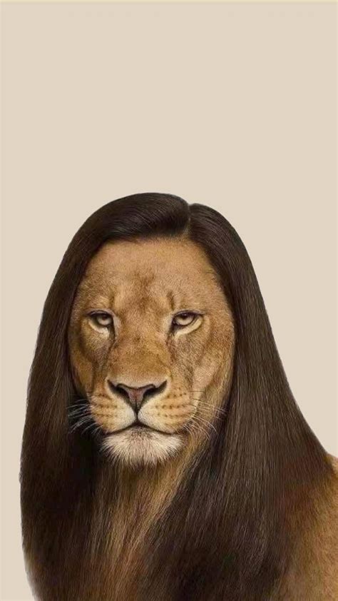 Lion and Monkey Meme