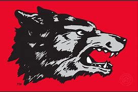 Image result for New Mexico Lobos Logo Full Res Wallpaper