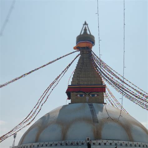 NEPAL VEHICLE HIRING (2025) All You Need to Know BEFORE You Go (with ...