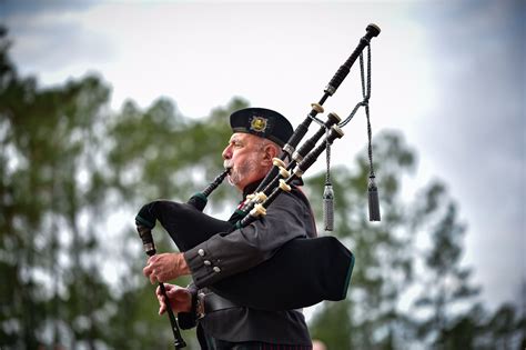 Image result for Scottish Music Instruments