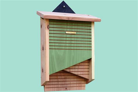 What Does A Bat Box Look Like Inside at Joseph Cornwall blog