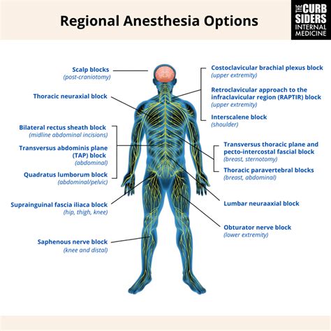 #365: Perioperative Medicine with Anesthesiologist Dr. Angela Selzer - The Curbsiders