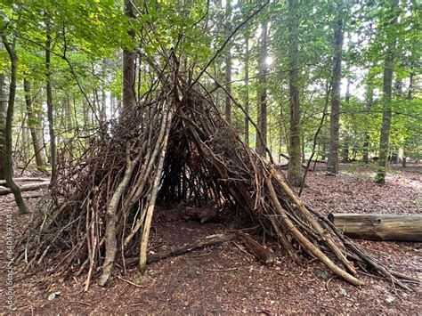 DIY Tree Hut 的图像结果