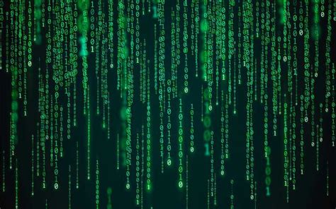 Best Coding Program 的图像结果