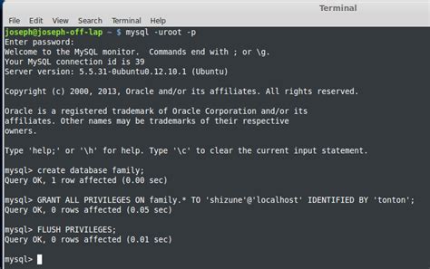 Image result for MySQL Terminal