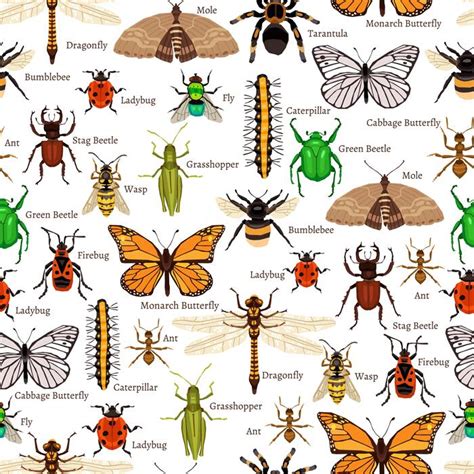 Image result for Bug Pattern