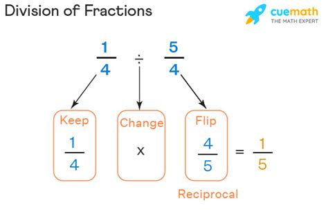 Image result for Division Fraction Examples