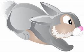 Image result for Animated Bunny