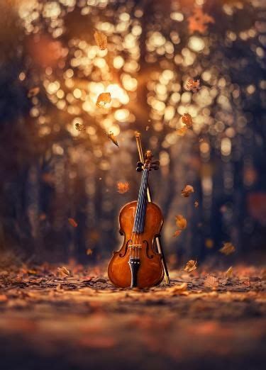 The violinist – Artofit