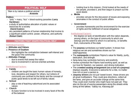 Political Self Example 的图像结果