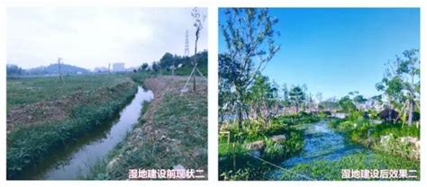 生态修复十大范例评选：深圳第一大河黑臭河滩变身为湿地公园_南方plus_南方+