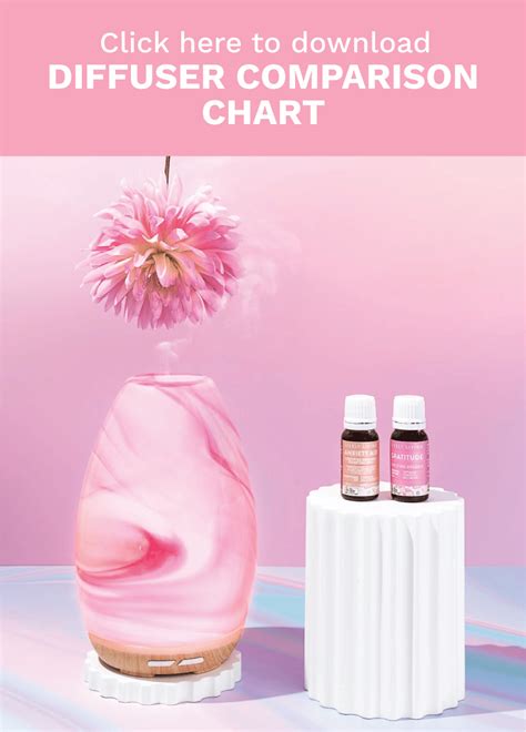 Diffuser Comparison 的图像结果