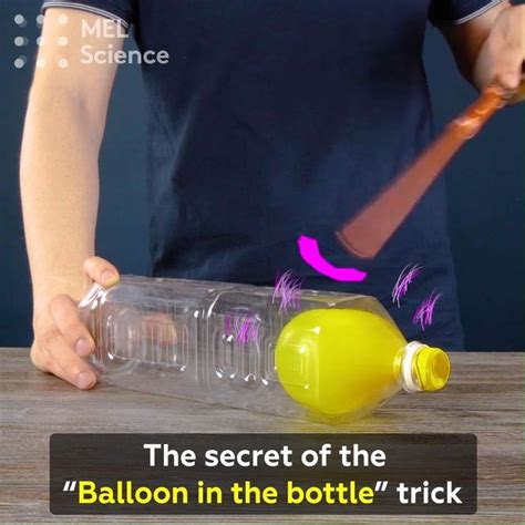 5 Grade Science Projects 的图像结果