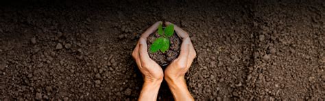 Plastiblends India Limited