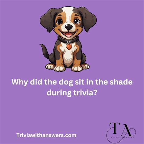 Dog Questions 的图像结果