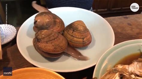 Image result for Alive Shellfish