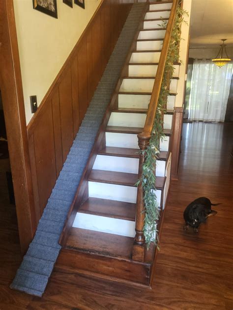 Ramps for stairs and bed. : r/Dachshund