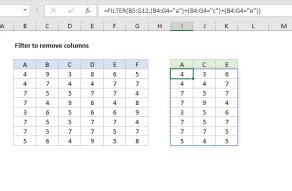Image result for Excel Filter Columns Function