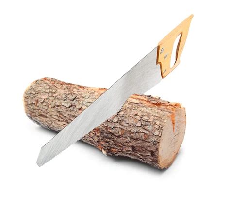 Image result for Cut Log