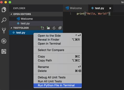 Image result for vs Code Python Command Window