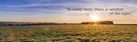 Amazon.in: Ancient Wisdom: Ancient Rice