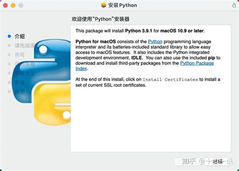 Python 3.9.5 Install 的图像结果