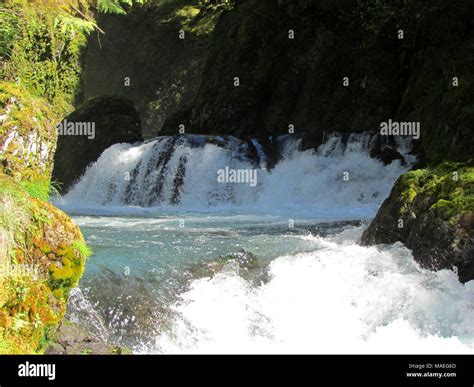 Spirit Falls at White Salmon River in WA Stock Photo - Alamy