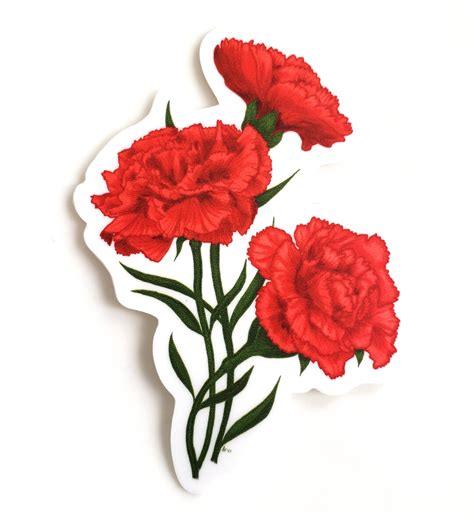 3" Scarlet Carnation Vinyl Sticker / Waterproof Carnation Decal / Ohio State Flower / Ohio State ...