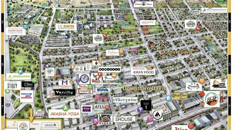 Elana Amsterdam | Obituaries | davisenterprise.com