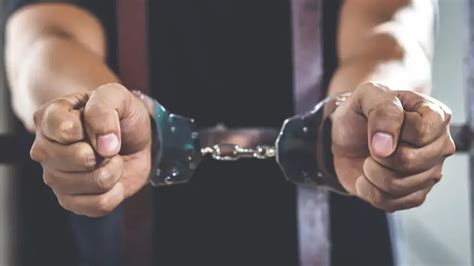Chhattisgarh forest officials arrest six from Odisha; tiger skin, body ...