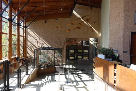 Nature Center 的图像结果