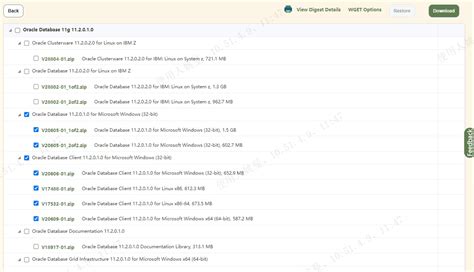 SQL*Plus Downloads 的图像结果