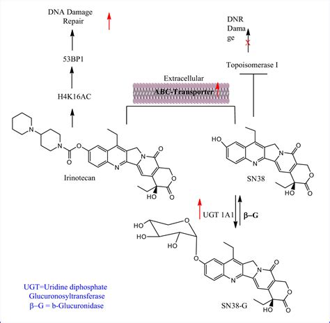 Development of heterocyclic-based anticancer agents: A comprehensive review
