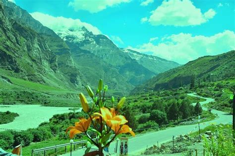 Jispa Tourism (2024): All You Need to Know Before You Go