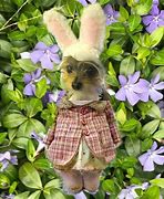 Image result for Easter Animals List