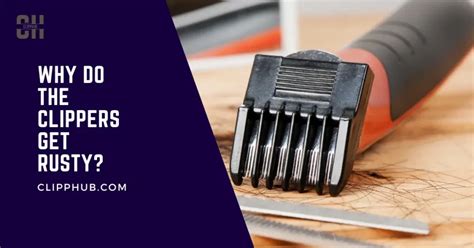 Image result for How to Clean Rust Off Clipper