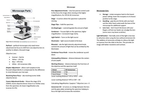 How to Make Microscope Parfocal 的图像结果