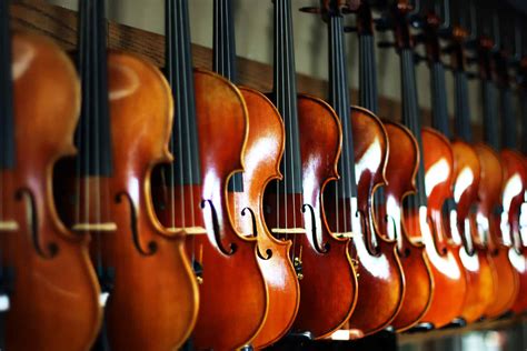 Image result for Best String Instruments