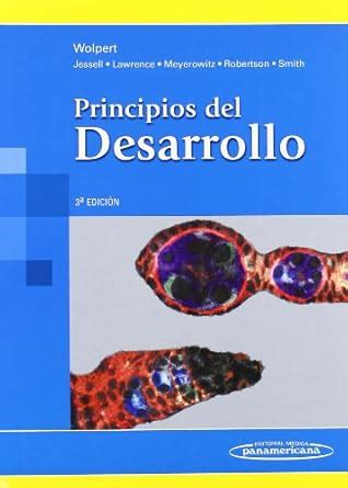 Buy Principios del desarrollo / Principles of Development Book Online ...