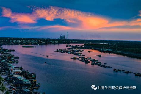 粤西名城湛江，风光旎丽景点众多，我国最早对外开放的14个城市沿海之一_腾讯新闻