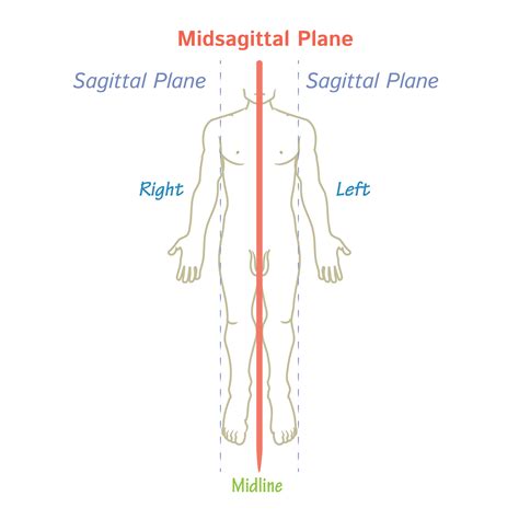 Gross Anatomy Glossary: Orientational Planes | ditki medical ...