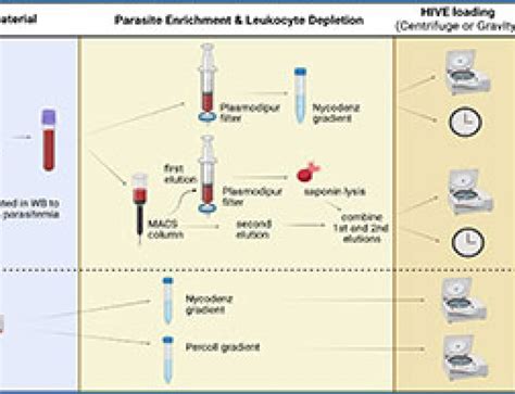Image result for Split Pool Barcoding