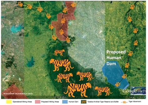 State plans to take up Human dam in eco-sensitive region of Vidarbha ...